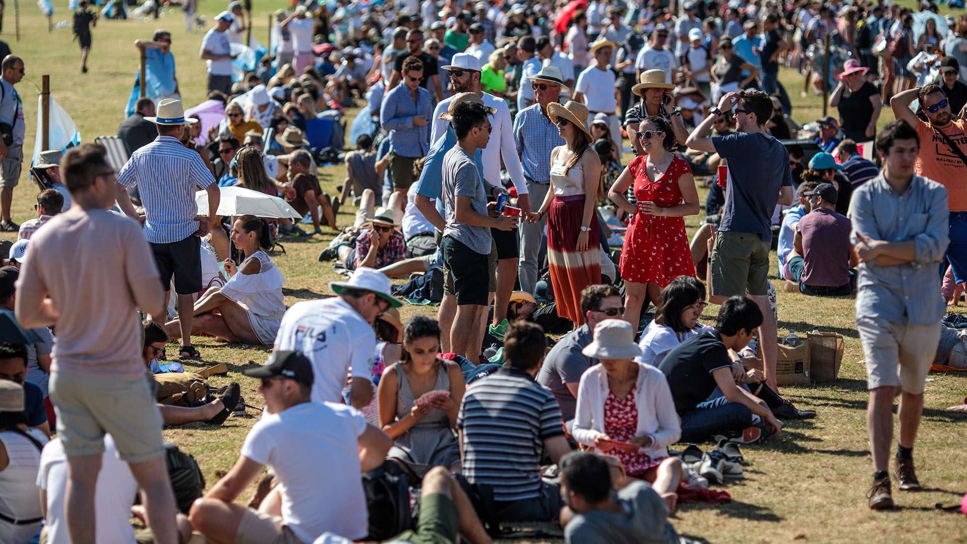 在激烈的竞 在激烈的竞